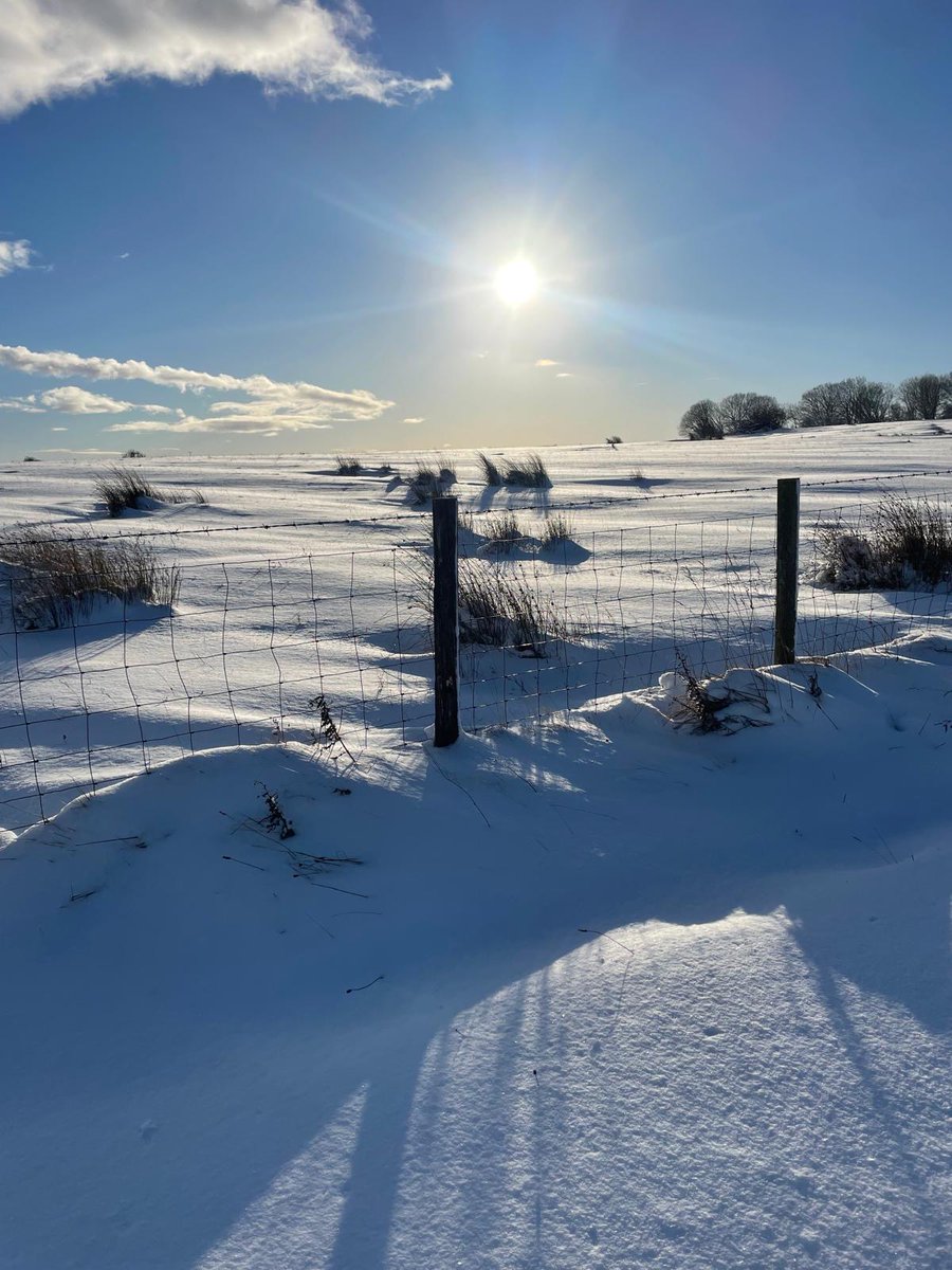 NorthWildlife's tweet photo. A wonderfully wintry scene on Blueburn Farm on the Rothbury Estate this week.

Such a striking landscape made even more dramatic by the pure white snow and intensely blue skies!

Find out more about the Rothbury Estate appeal and make a donation at 👉 https://t.co/rnJAETsBl4 https://t.co/v8YFPaMS2j