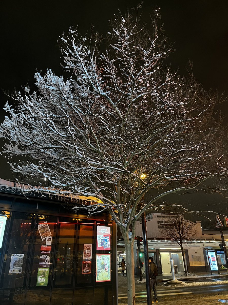 tsawerrandom4's tweet image. 