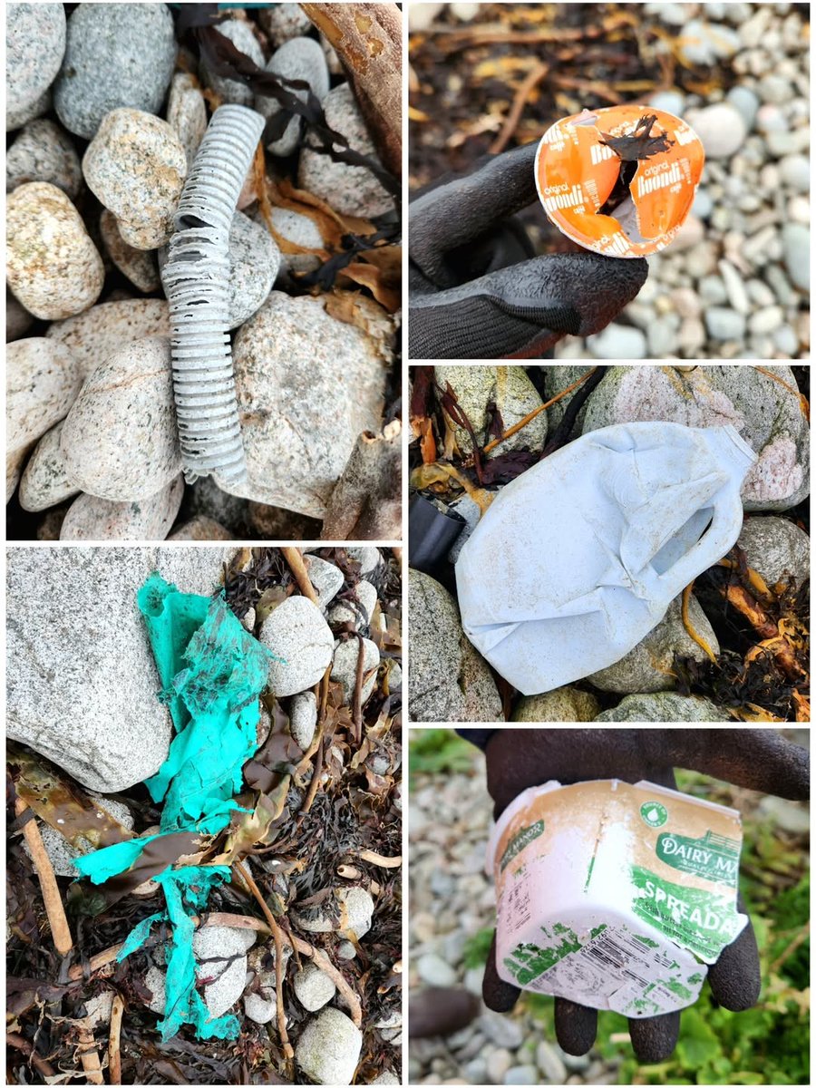 Clean Coasts tweet media