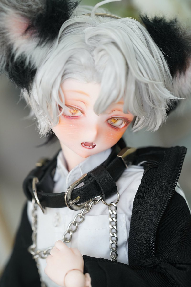 宣伝失礼します

1/11（日)22:28時台までにやんちゃなきつねくんの飼い主を探しております🦊✨

+sealand+ カスタムヘッド パテ盛り ddh10+手描きアイ＋舌パーツ auctions.yahoo.co.jp/jp/auction/g12…

素敵な飼い主を見つかりますように🧡

#sealandmake
#MDDはいいぞ