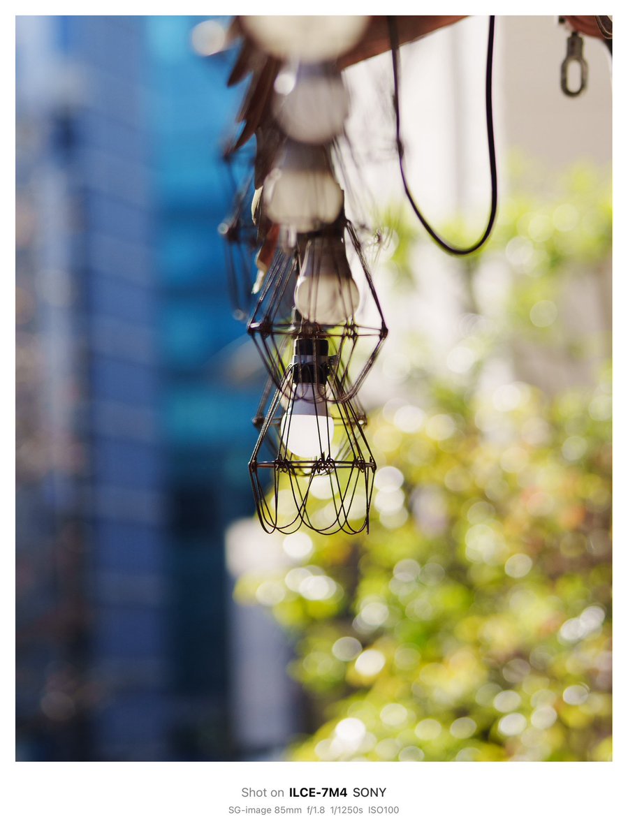 りんりのりこぱぱ ❣美しいボケ味❣EF-S 55-250mm IS II りんりのりこぱぱ 様専用❣美しいボケ味❣EF-S 55-250mm IS II