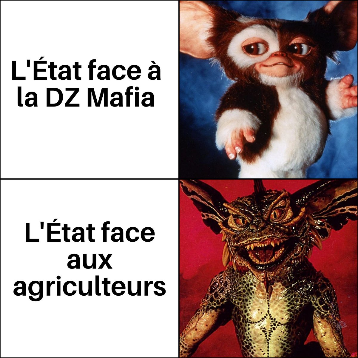 Le Crapaud tweet media