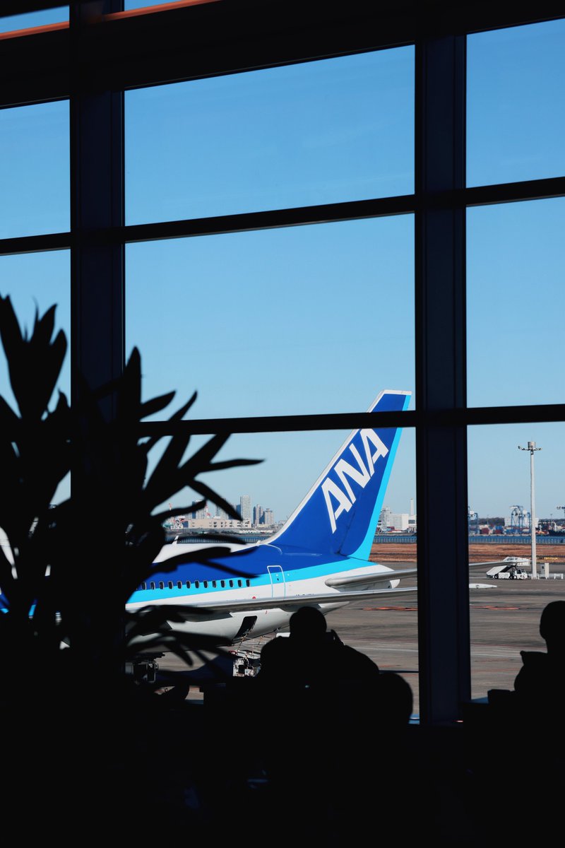 マネークリッパー吉沢 tweet media