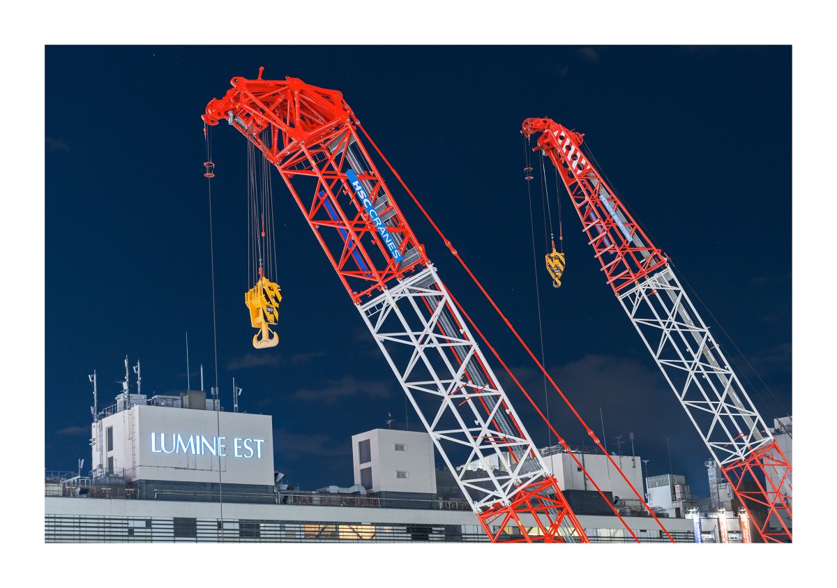 T875 (@birdland875) / Posts / X