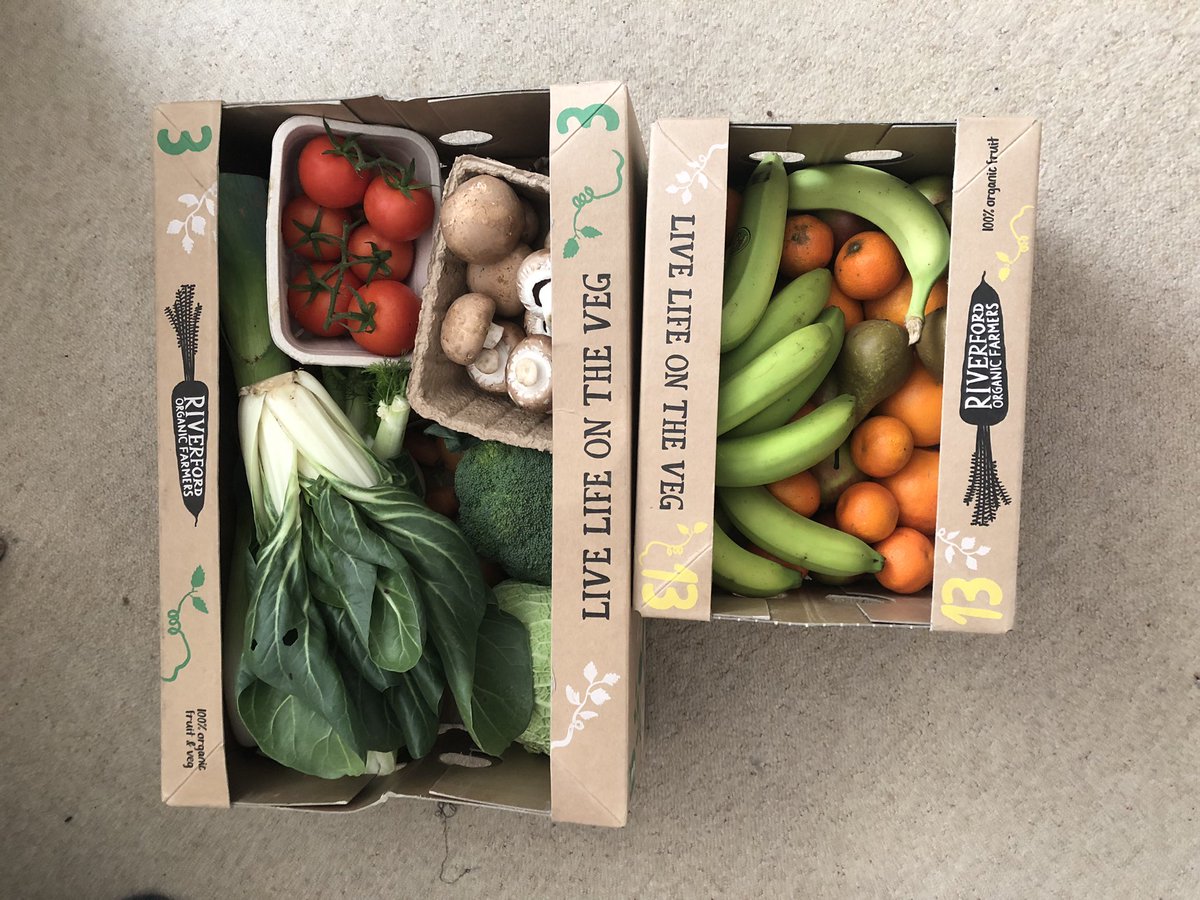 Boiling Frogs Blog 🍃💚🍃 tweet media