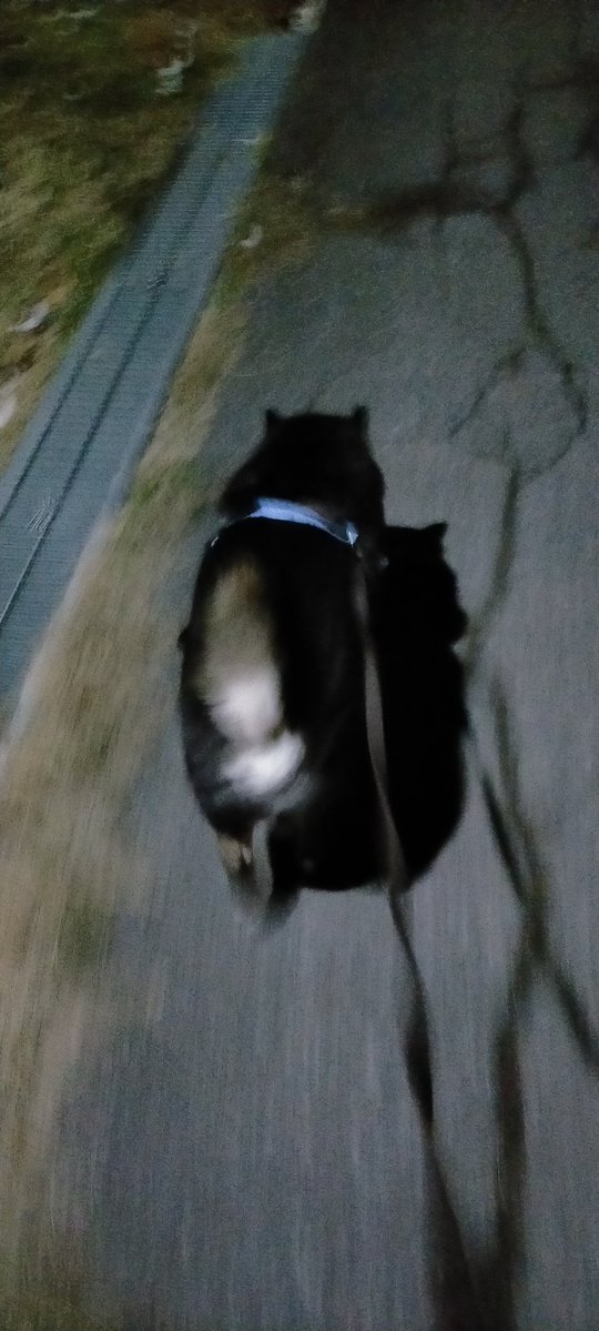 そうだ！夜なら…いってみよっと💨