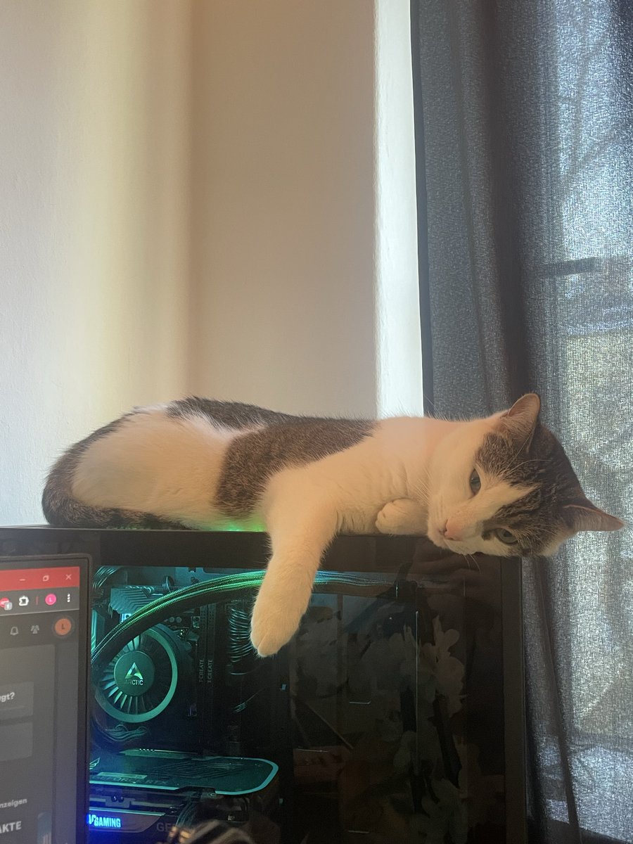 Krsr 💫 tweet media