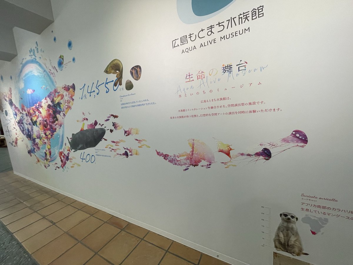 darumashark's tweet photo. 2025.12.27

先日は、広島もとまち水族館にもお邪魔しました。

真っ白な部屋にあった絵画のような水槽展示が特に印象的でした https://t.co/KuivLn4hmQ