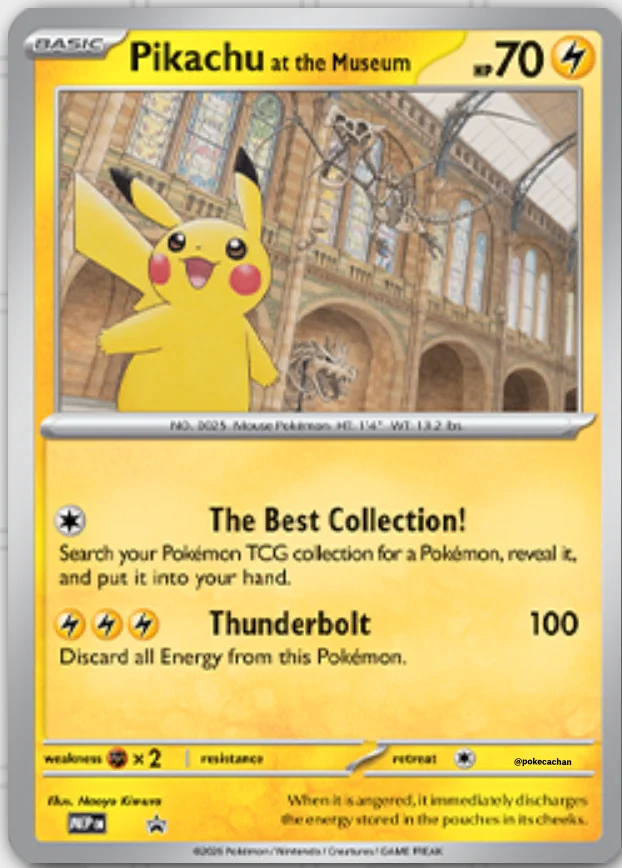 ロンドン自然史博物館　ポケモンカード　ピカチュウ ポケカ予約速報@ポケモンカード情報 on X: 