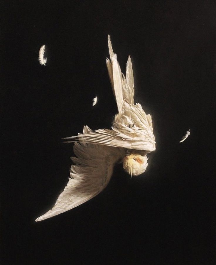 tt_vohan's tweet image. Relato particular de revisão.

Não sou fã de trazer minhas experiências em público, entretanto, as vezes pode ser motivador.

Ontem pela manhã tive uma discussão terrível com meu pai. Ele me ligou muito bravo porque eu havia esquecido de fazer a declaração de uma conta (project…