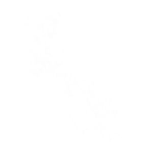 tt_vohan's tweet image. Relato particular de revisão.

Não sou fã de trazer minhas experiências em público, entretanto, as vezes pode ser motivador.

Ontem pela manhã tive uma discussão terrível com meu pai. Ele me ligou muito bravo porque eu havia esquecido de fazer a declaração de uma conta (project…