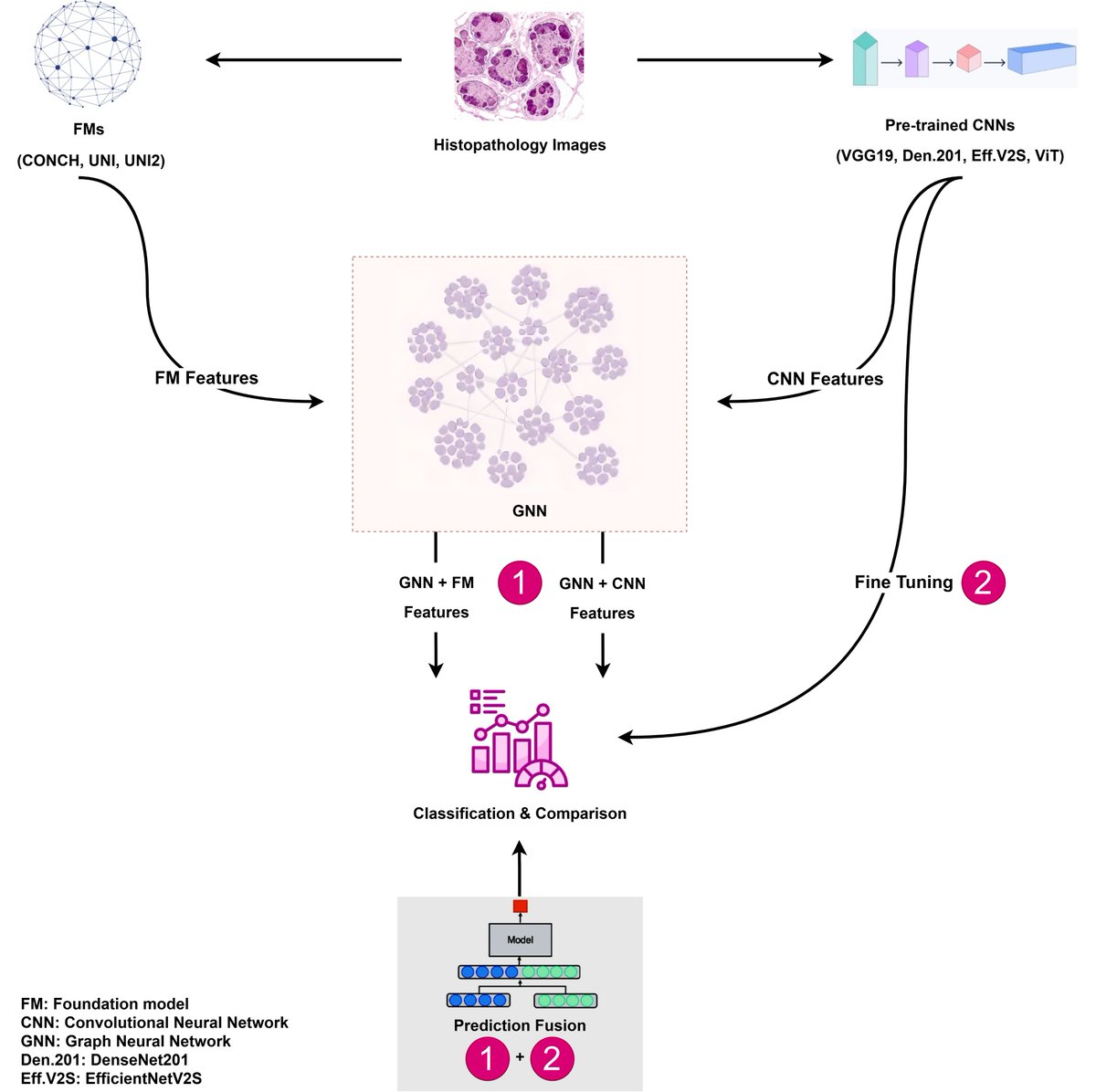 Bioeng_MDPI's tweet photo. 💥Excited for the publication: "Integrating Foundation Model Features into Graph Neural Network and Fusing Predictions with Standard Fine-Tuned Models for #Histology Image Classification"
🔗 https://t.co/DZOYE3CvIo
🏫 @DP__University 
📌#GraphNeuralNetworkn #ImageClassification https://t.co/KNfOtj6thI