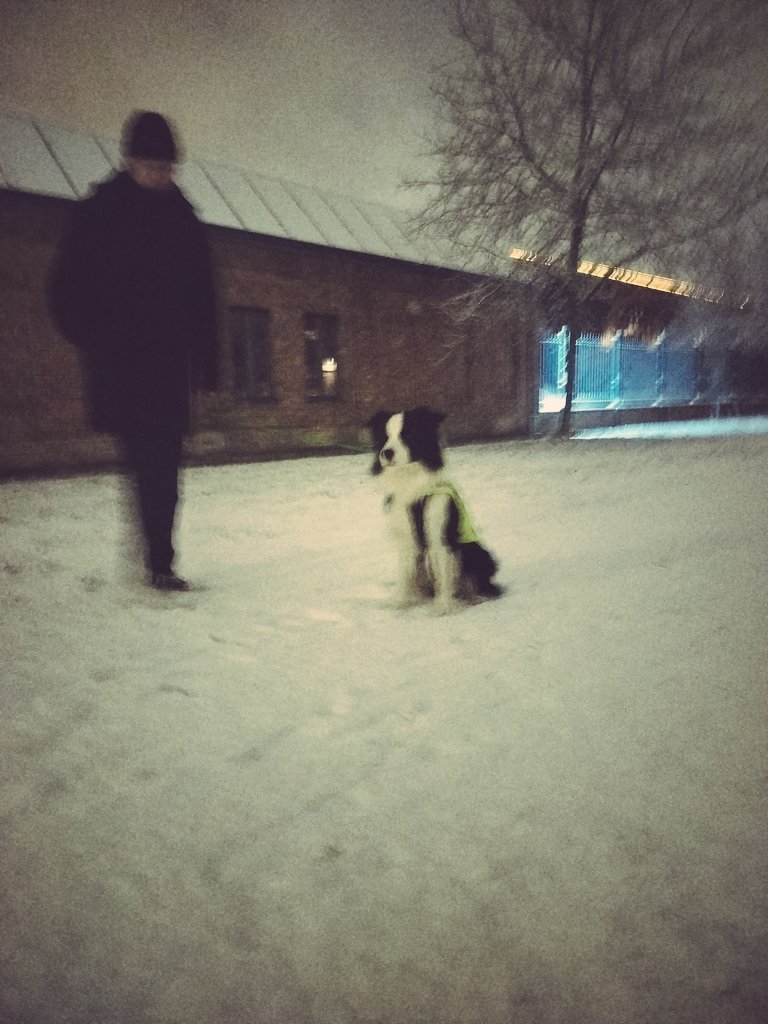 Joran (@jo__ran) on Twitter photo 