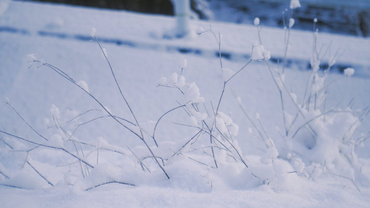 harerukitto's tweet image. #写真好きな人と繋がりたい #ファインダー越しの私の世界 #キリトリセカイ

また降らないかな