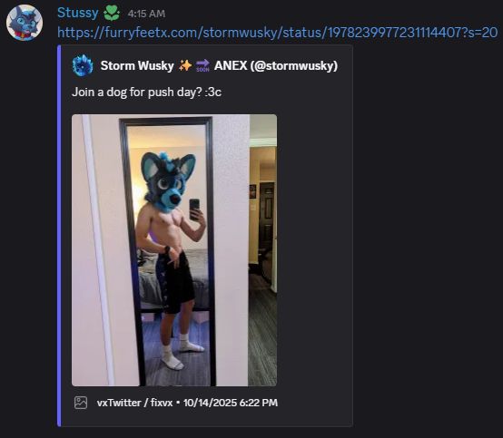 I am the proud owner of furryfeetx.com, which you can use to gloriously display your tweets in discord or twitter! 🤩🤩🤩