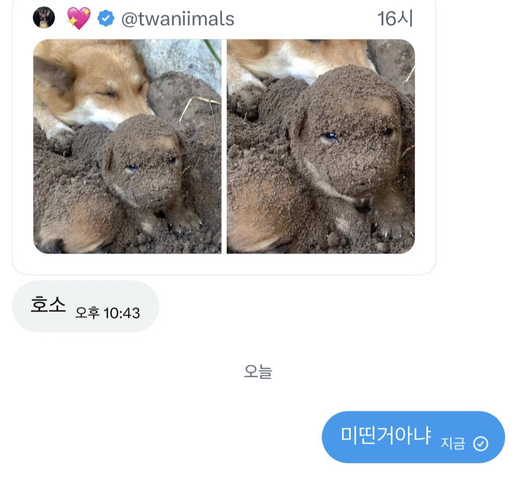 foxisliar's tweet image. 