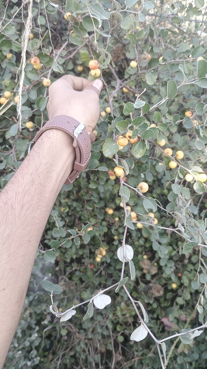 Nagrajk04's tweet photo. #ber #photo #kisan https://t.co/1qaoLcLb0Q