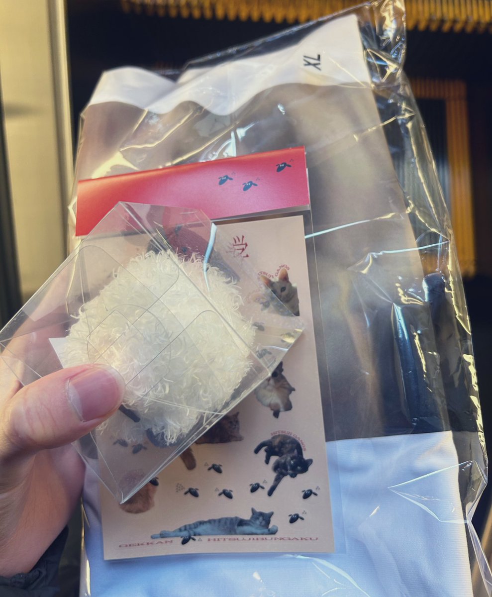 __oOxS's tweet photo. ねこひつじ捕獲。寒かった、 https://t.co/zrqeT2jUw0