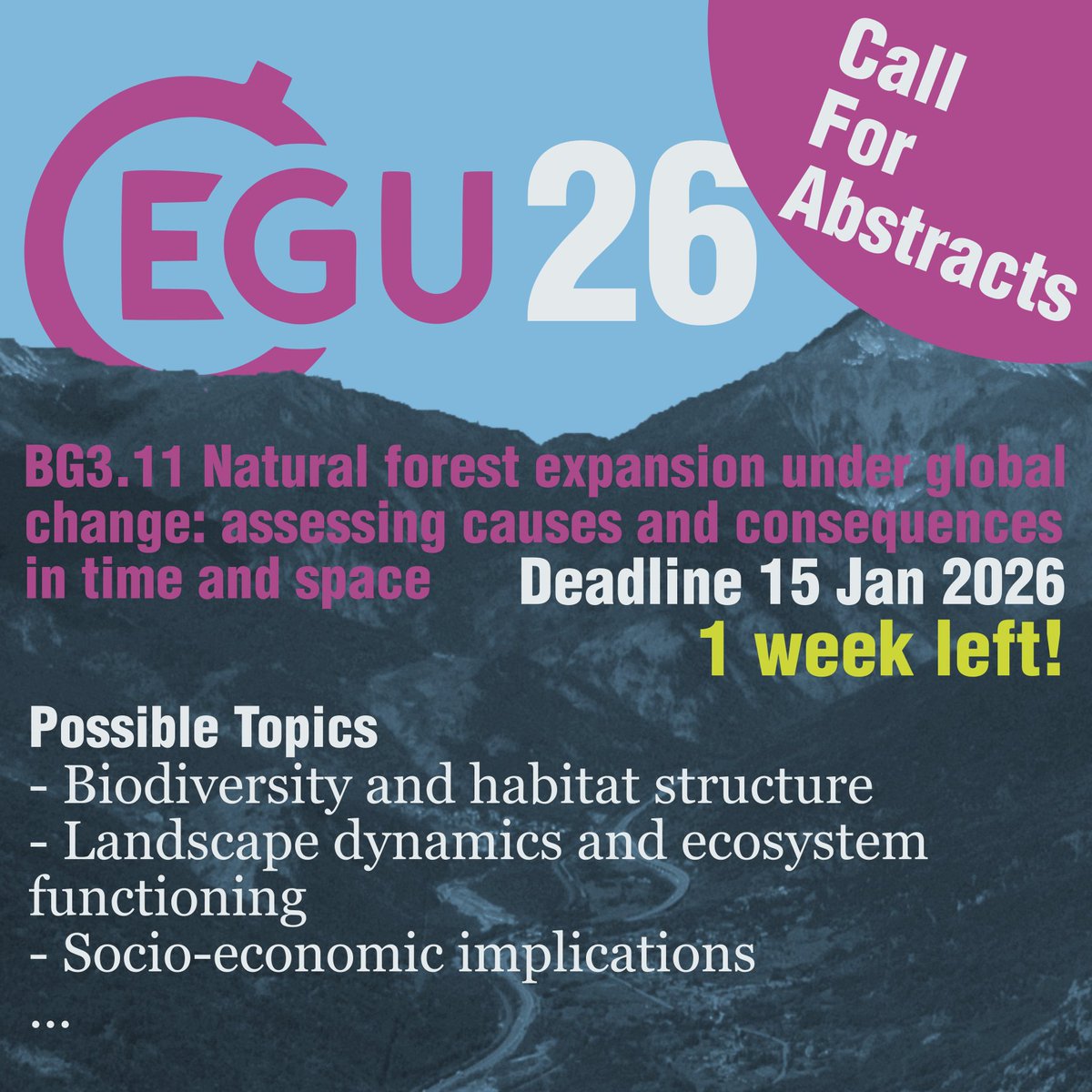 Matteo Garbarino tweet media