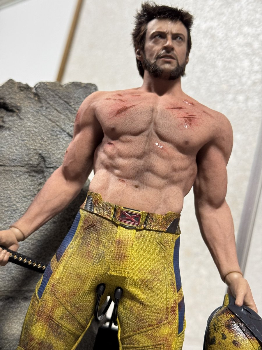 遂にホットトイズ のシームレス筋肉素体が手に入り、カスタムウルヴァリン ヘッドを装着。
カッケェェェェェェ😇😈✨

シームレスシリコンは今後の劣化も怖いけどやはり見栄えが素晴らしい。
女子フィギュアのシリコンはまだまだこの肌の質感が足りないのが難点だよなあ…😌 