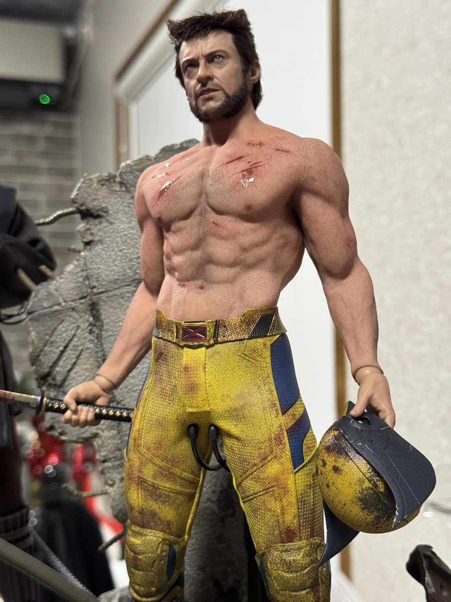 遂にホットトイズ のシームレス筋肉素体が手に入り、カスタムウルヴァリン ヘッドを装着。
カッケェェェェェェ😇😈✨

シームレスシリコンは今後の劣化も怖いけどやはり見栄えが素晴らしい。
女子フィギュアのシリコンはまだまだこの肌の質感が足りないのが難点だよなあ…😌 