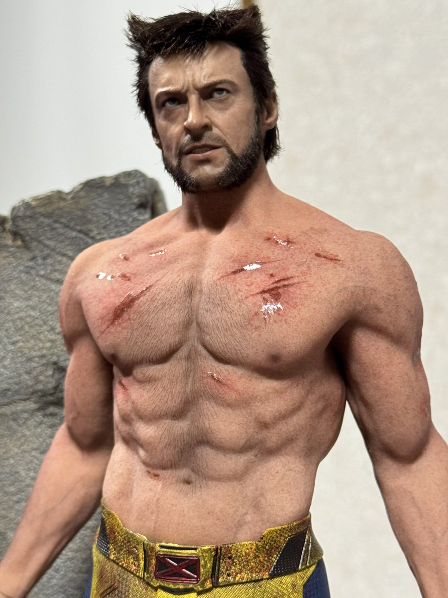 遂にホットトイズ のシームレス筋肉素体が手に入り、カスタムウルヴァリン ヘッドを装着。
カッケェェェェェェ😇😈✨

シームレスシリコンは今後の劣化も怖いけどやはり見栄えが素晴らしい。
女子フィギュアのシリコンはまだまだこの肌の質感が足りないのが難点だよなあ…😌 