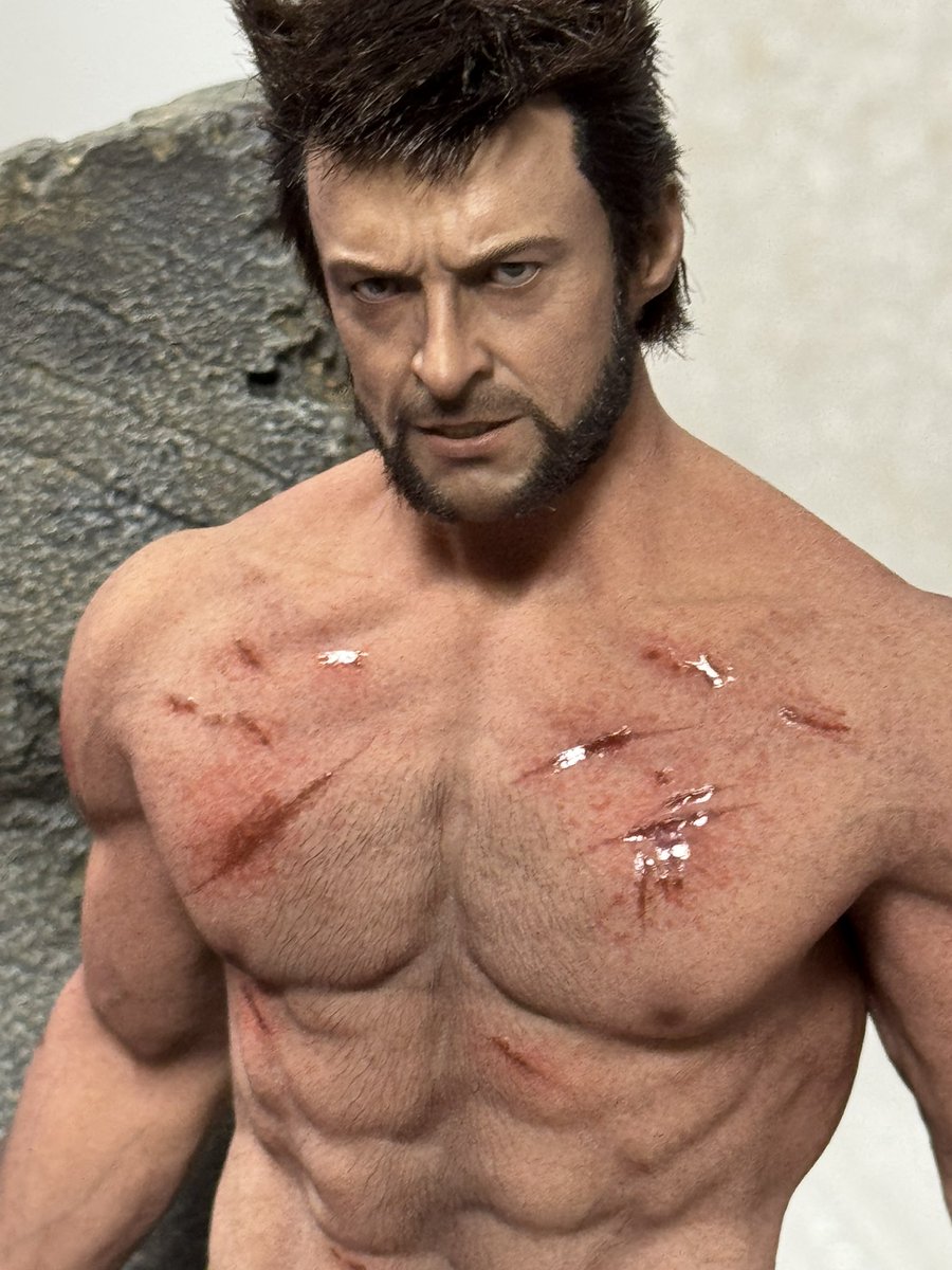 遂にホットトイズ のシームレス筋肉素体が手に入り、カスタムウルヴァリン ヘッドを装着。
カッケェェェェェェ😇😈✨

シームレスシリコンは今後の劣化も怖いけどやはり見栄えが素晴らしい。
女子フィギュアのシリコンはまだまだこの肌の質感が足りないのが難点だよなあ…😌 