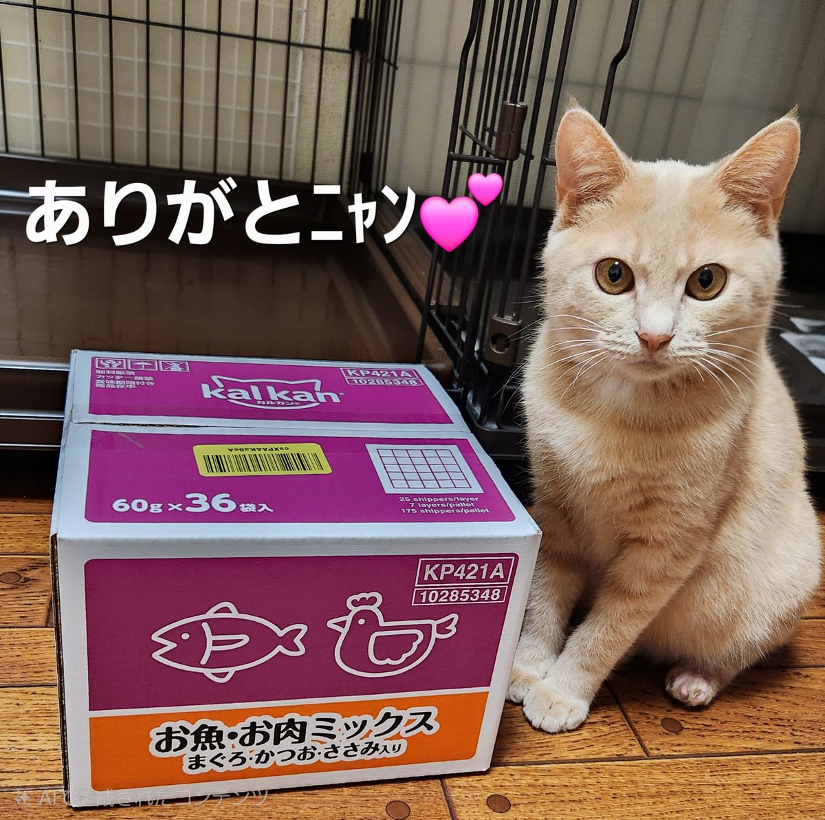 🎁ご支援のお礼です

ひろ様より大好きなカルカンを頂きました😋
ありがとうございます

アンディー君食いしん坊で保護から2ヶ月で体重が2倍になってまるまるﾆｬﾝになりました😸

足の傷が完治したら里親募集させて頂きます
よろしくお願いします
 #保護猫 #猫のいる暮らし
 #猫好き  #里親様募集中