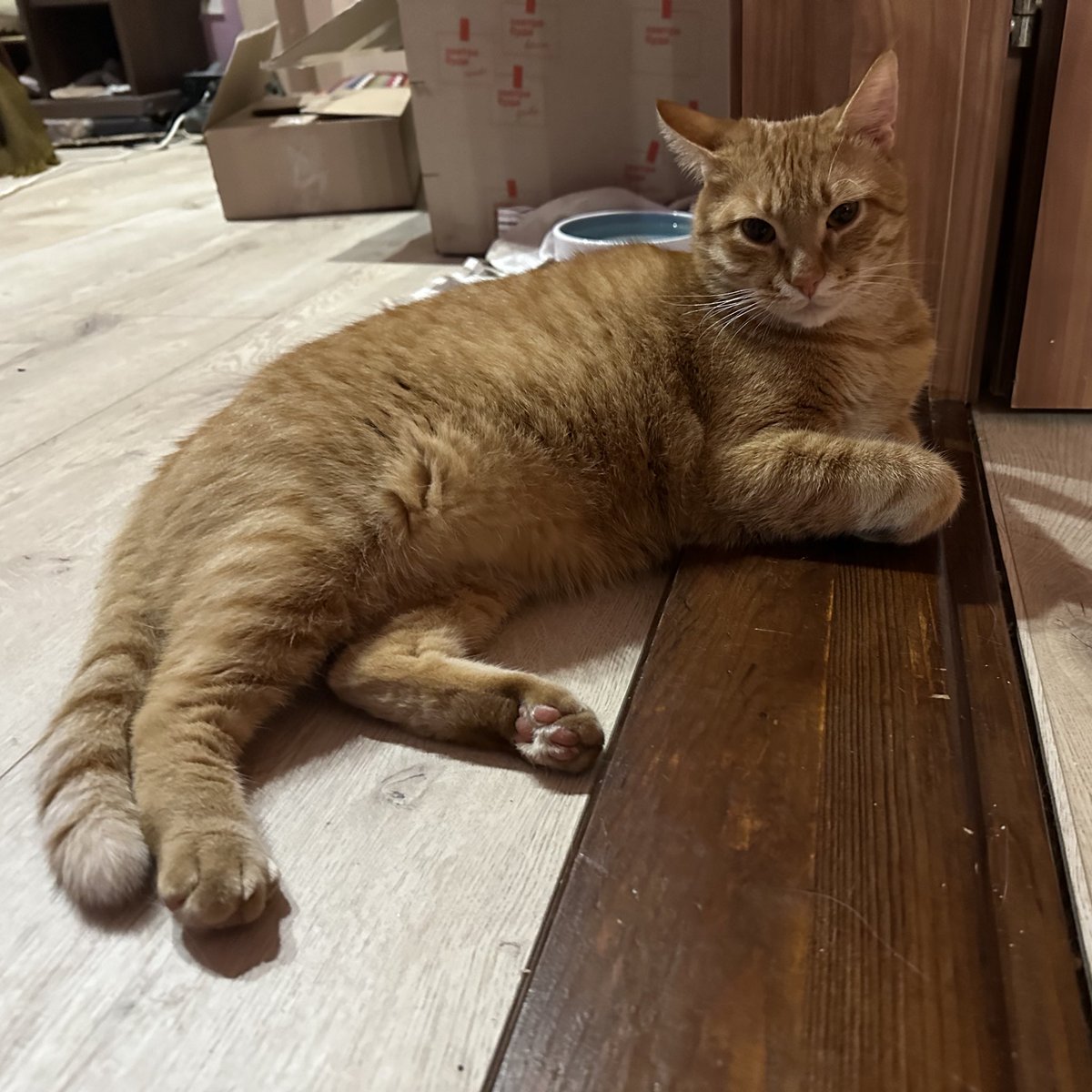 дивиться хто ще не задонатив на тачки хлопцям

send.monobank.ua/jar/38s5R7qWU8