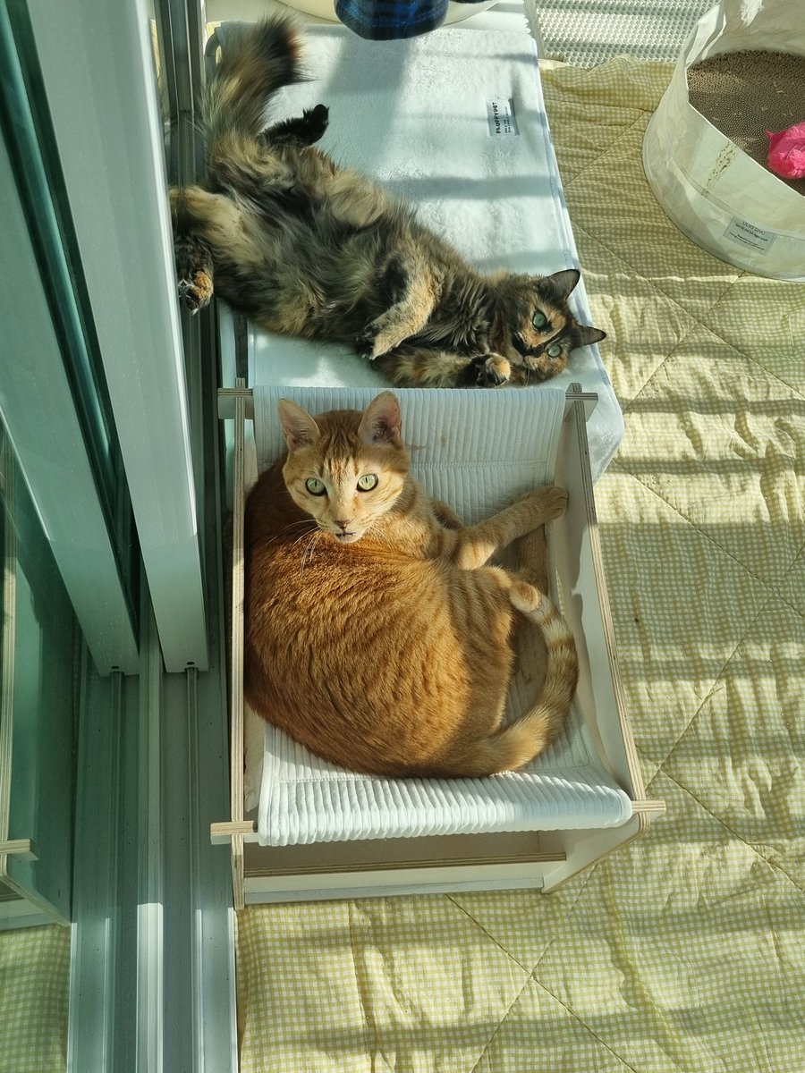 캐릭터 진짜 정반대