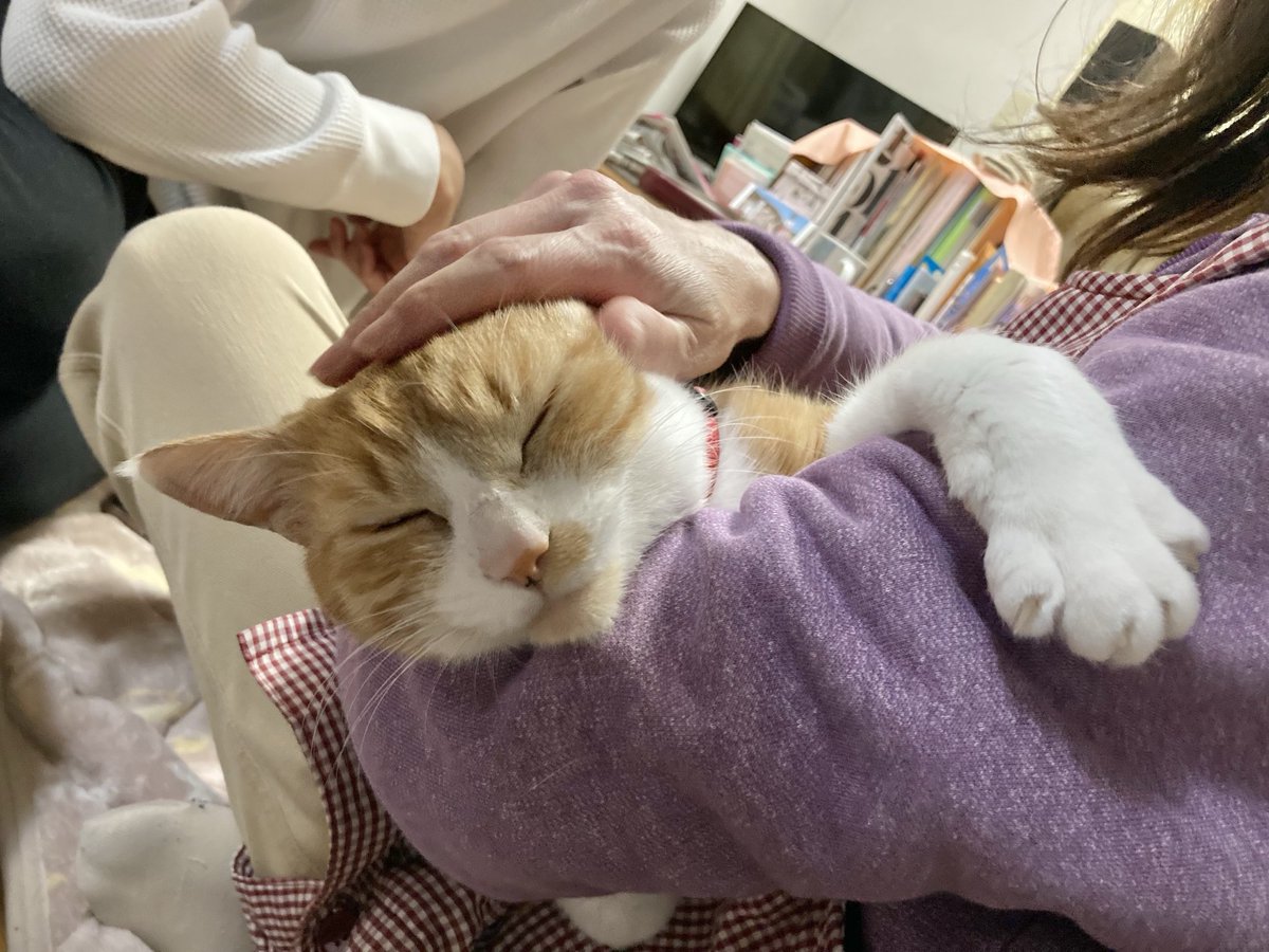 一昨年2024年1月7日の
おかかさん🐱

幸せいっぱい💕🥰