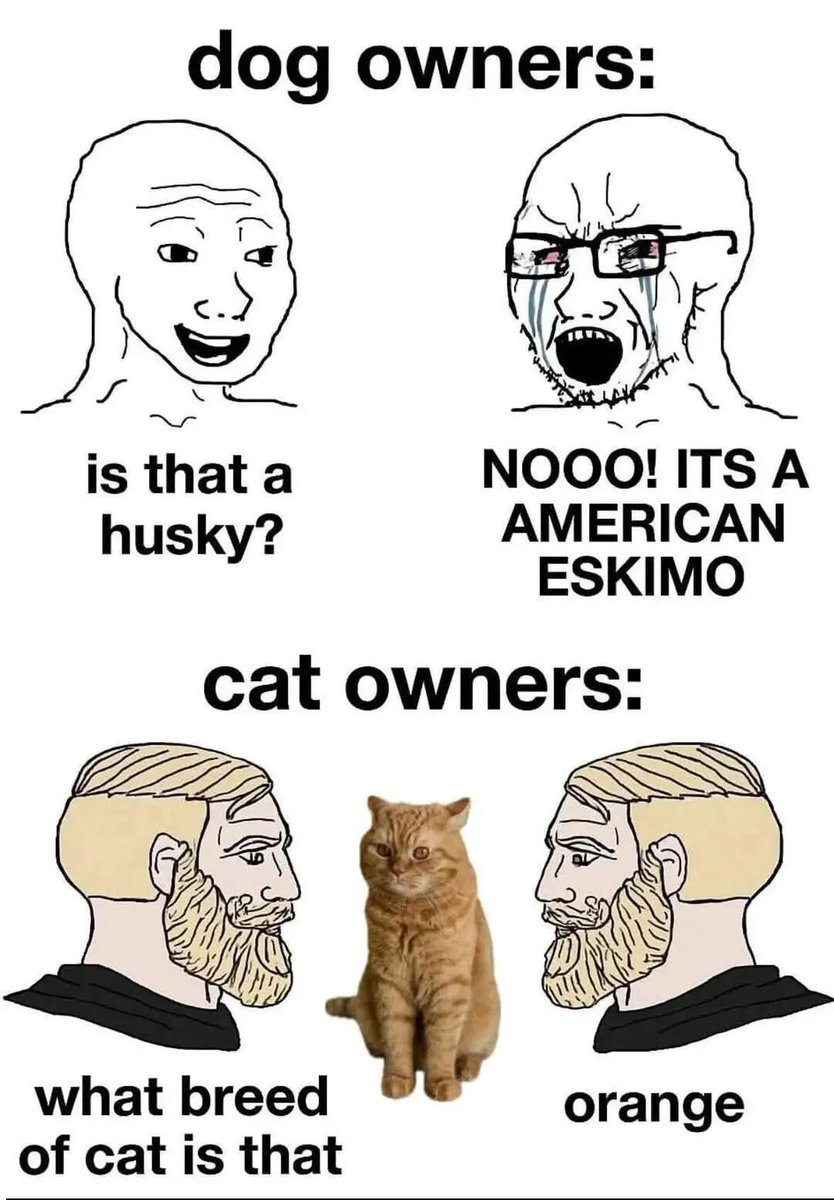 WholesomeMeme's tweet image. 