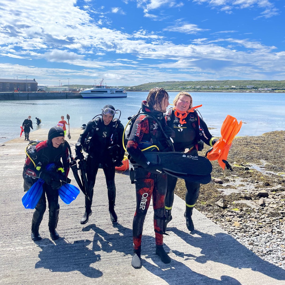 DiveAran tweet media