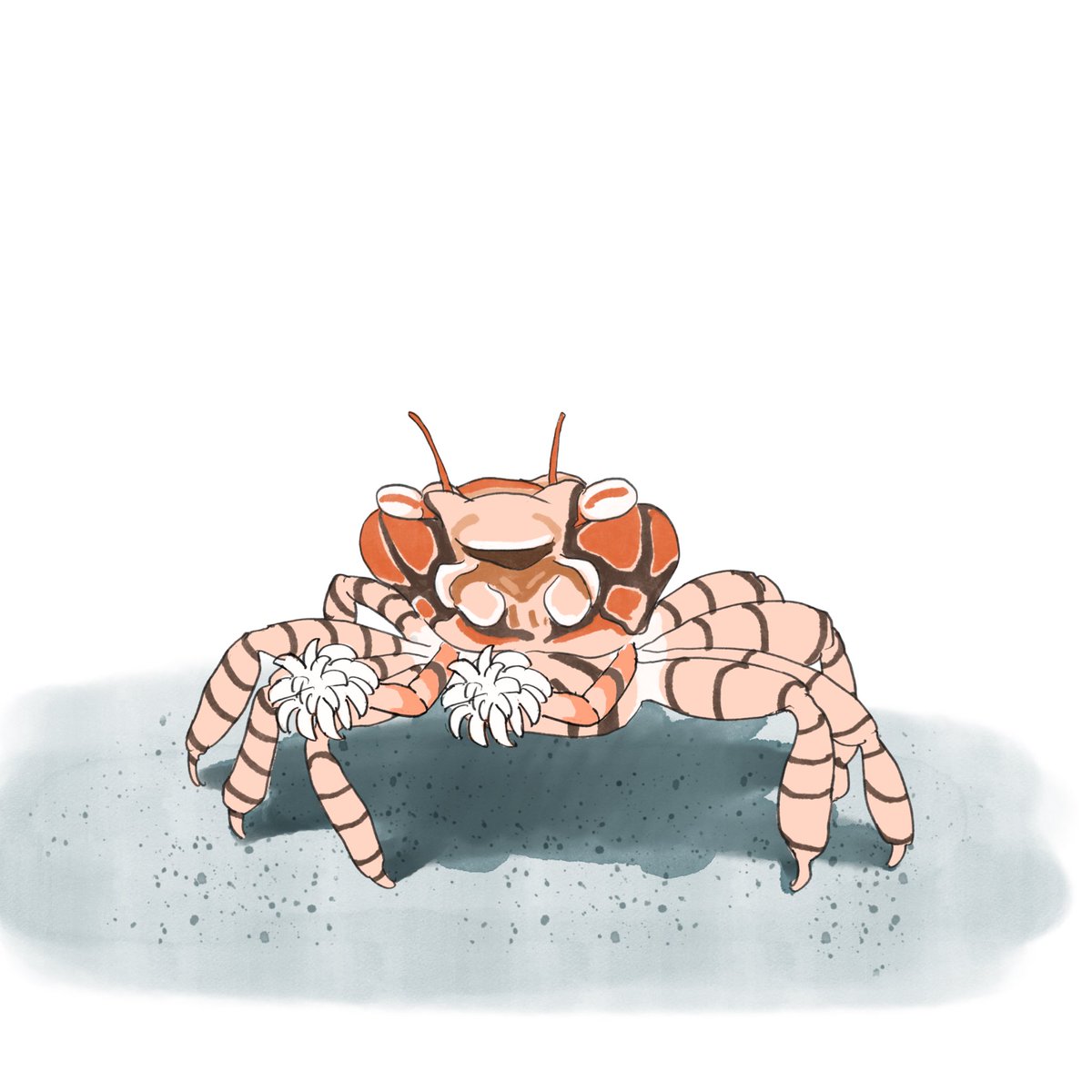 SoysenSyndrome's tweet image. 應觀眾要求，畫一隻擔任啦啦隊的拳擊蟹