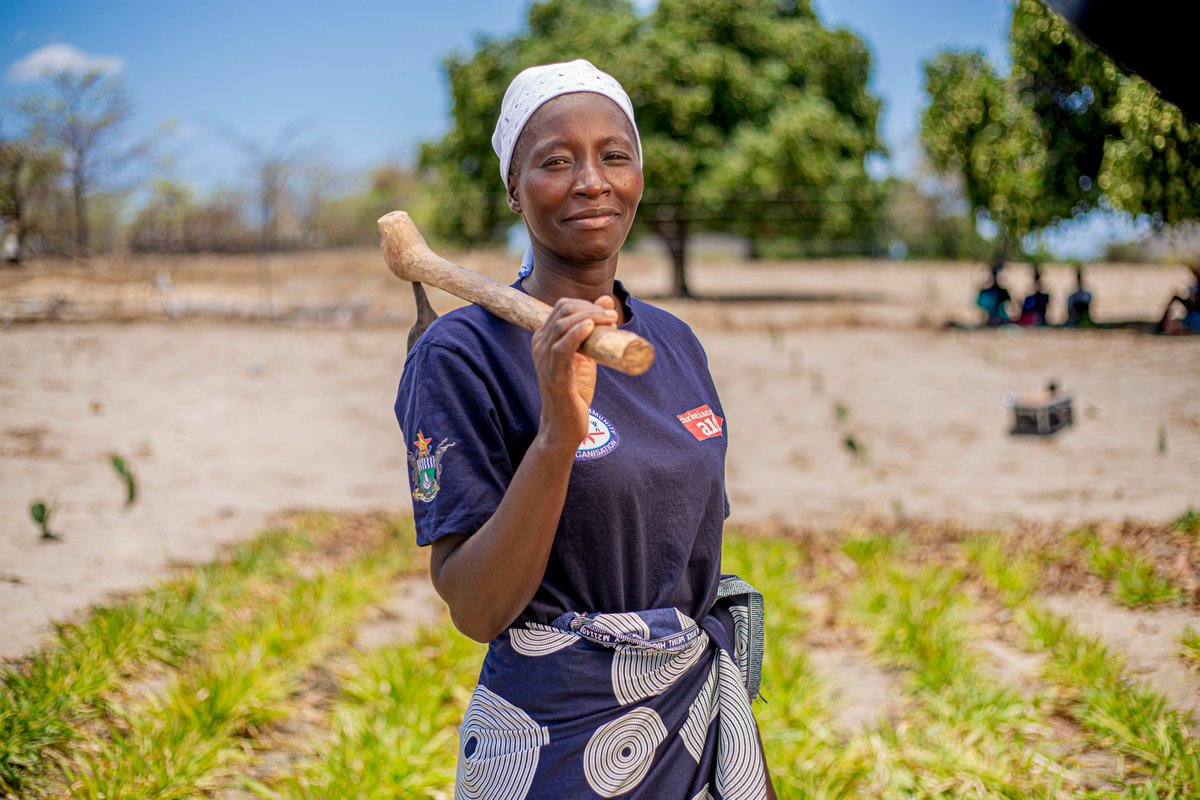 bizanimedia's tweet photo. Proud to document real change in Mudzi with Christian Aid Zimbabwe — modern dairy farming, stronger incomes, better lives. #DevelopmentStories https://t.co/pgnee0kWda