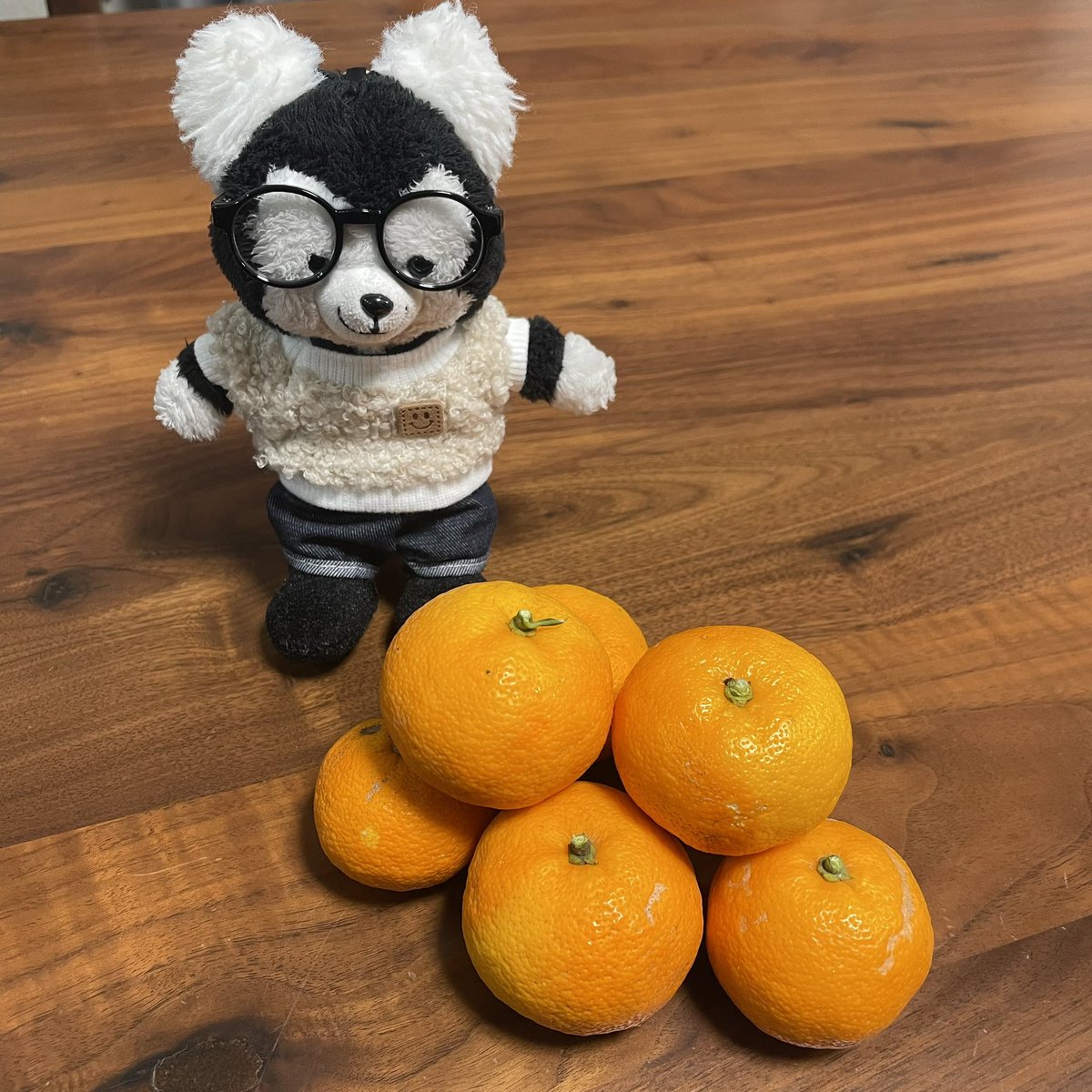 comugi99's tweet image. 遅ればせながらあけましておめでとうございます。

祖母宅のすだちを添えて