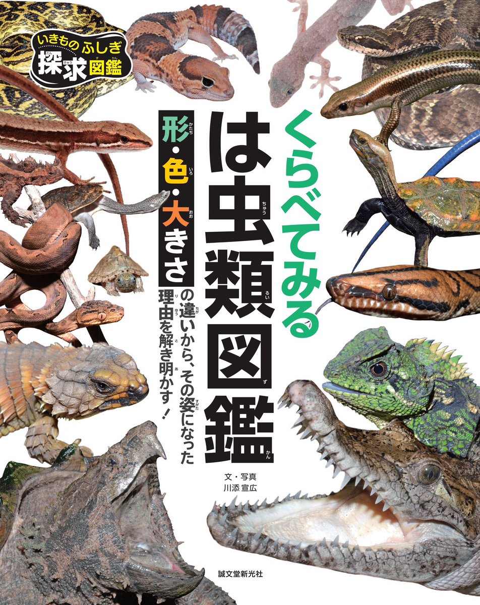 亀太郎 mitsuya (@328kota) / Posts / X