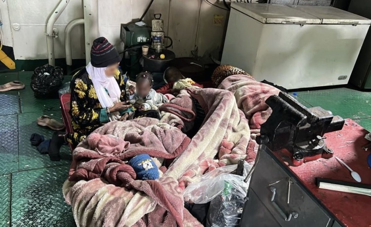 Open Migration tweet media