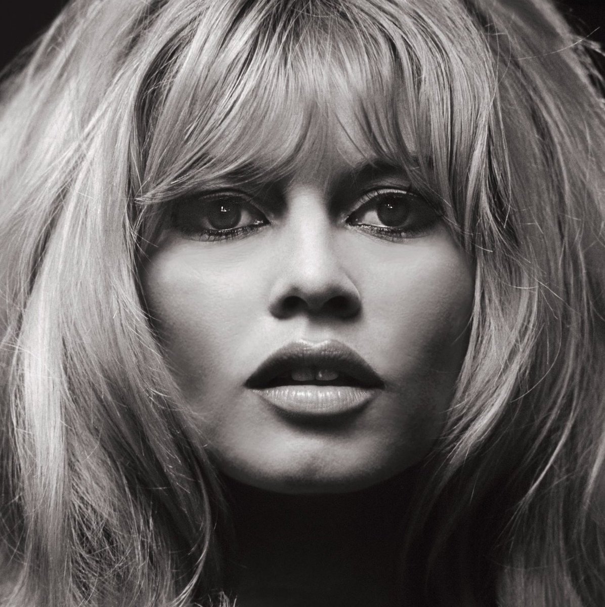 FrankPietra's tweet photo. Femmes iconiques : Jeanne d’Arc, Simone de Beauvoir, Simone Veil, George Sand, Duras, Curie, Chanel, Piaf, Dalida, Mireille Mathieu. Aucune pourtant n’a égalé l’aura mondiale de Brigitte Bardot. Nous enterrons la dernière. Le monde sera plus morose. #SaintTropez #Bardot #obseques https://t.co/IwAAgUiC6x