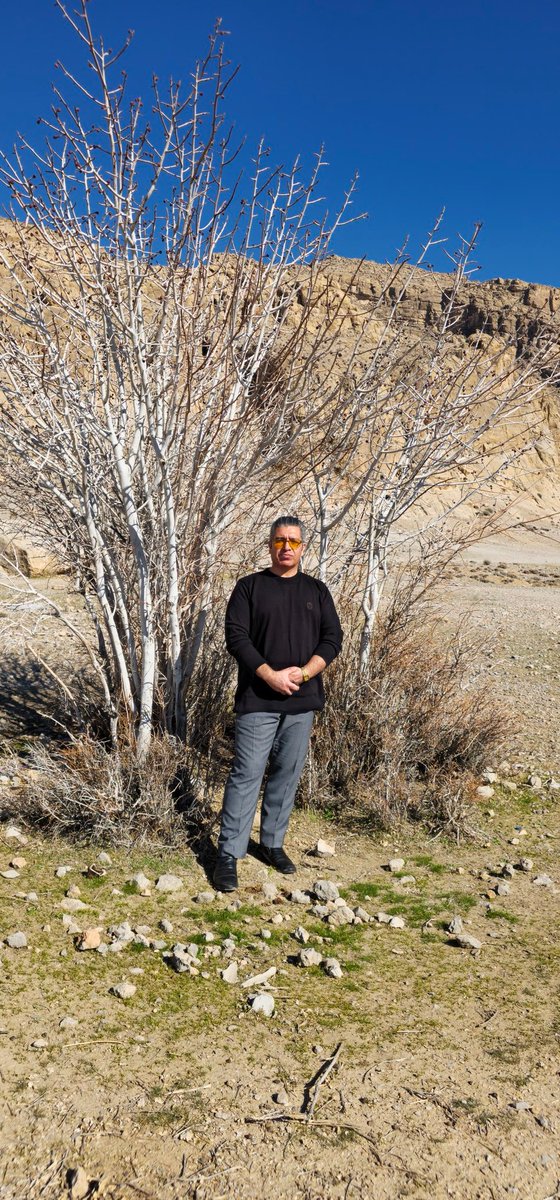 parham Khosravani tweet media