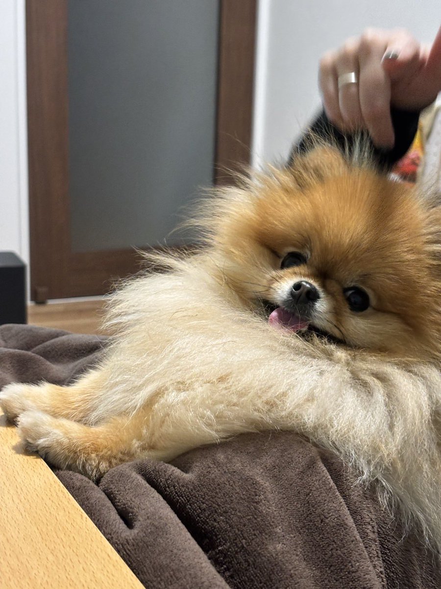 可愛すぎるモデルさん𐔌՞・·・՞𐦯