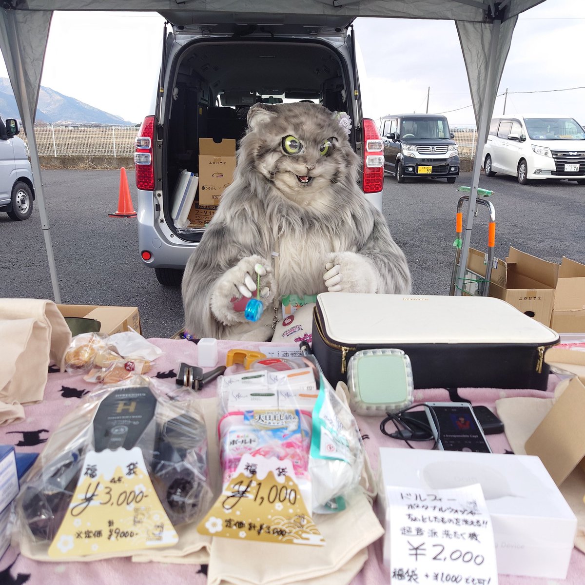Killiwo's tweet photo. えいっ!
#loop720
#マヌルネコの雷流 @lailcats #山田三毛猫ファミリー #マヌルネコ https://t.co/KweINbscPv