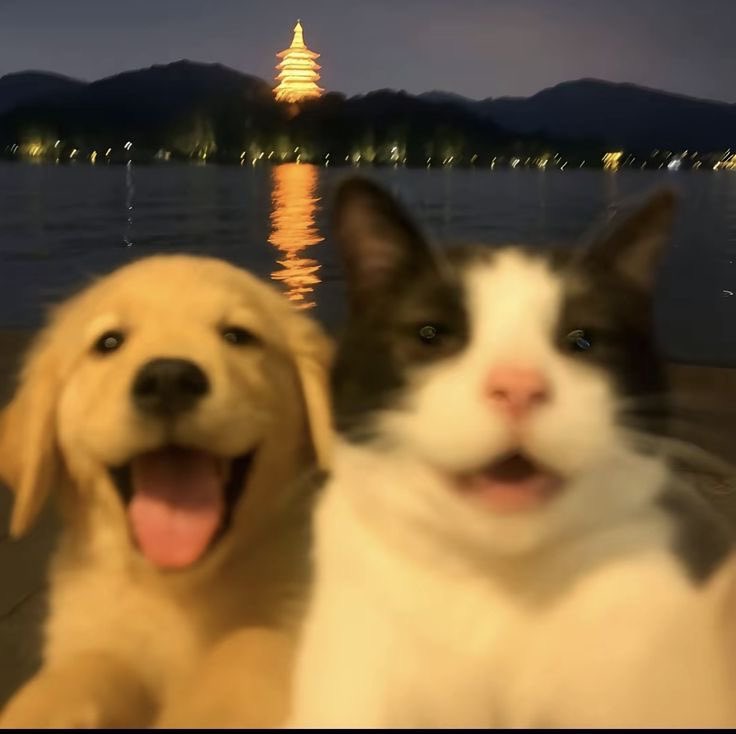 🐶🐱 <a href="/melttaesanx/">สวอน</a>