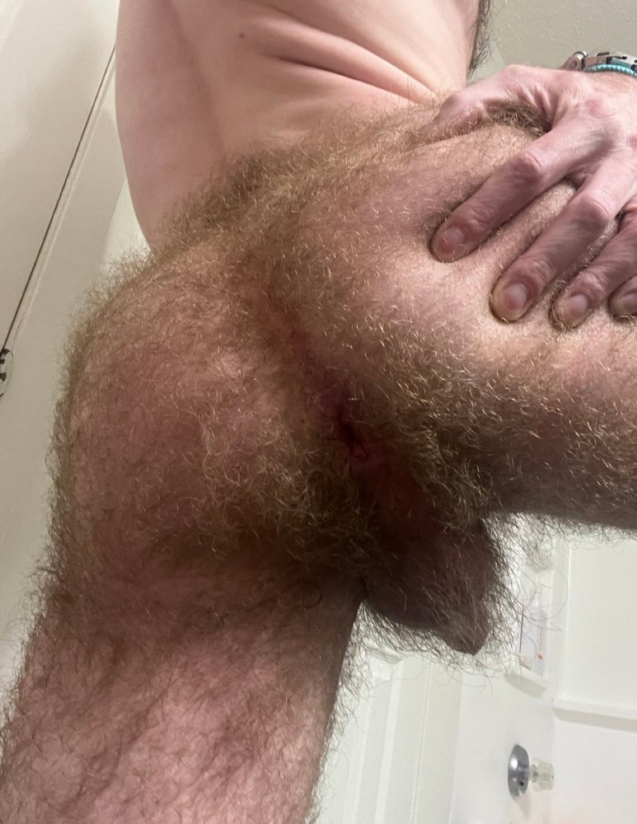 vigilepoilu (@vigilepoilu) on Twitter photo 