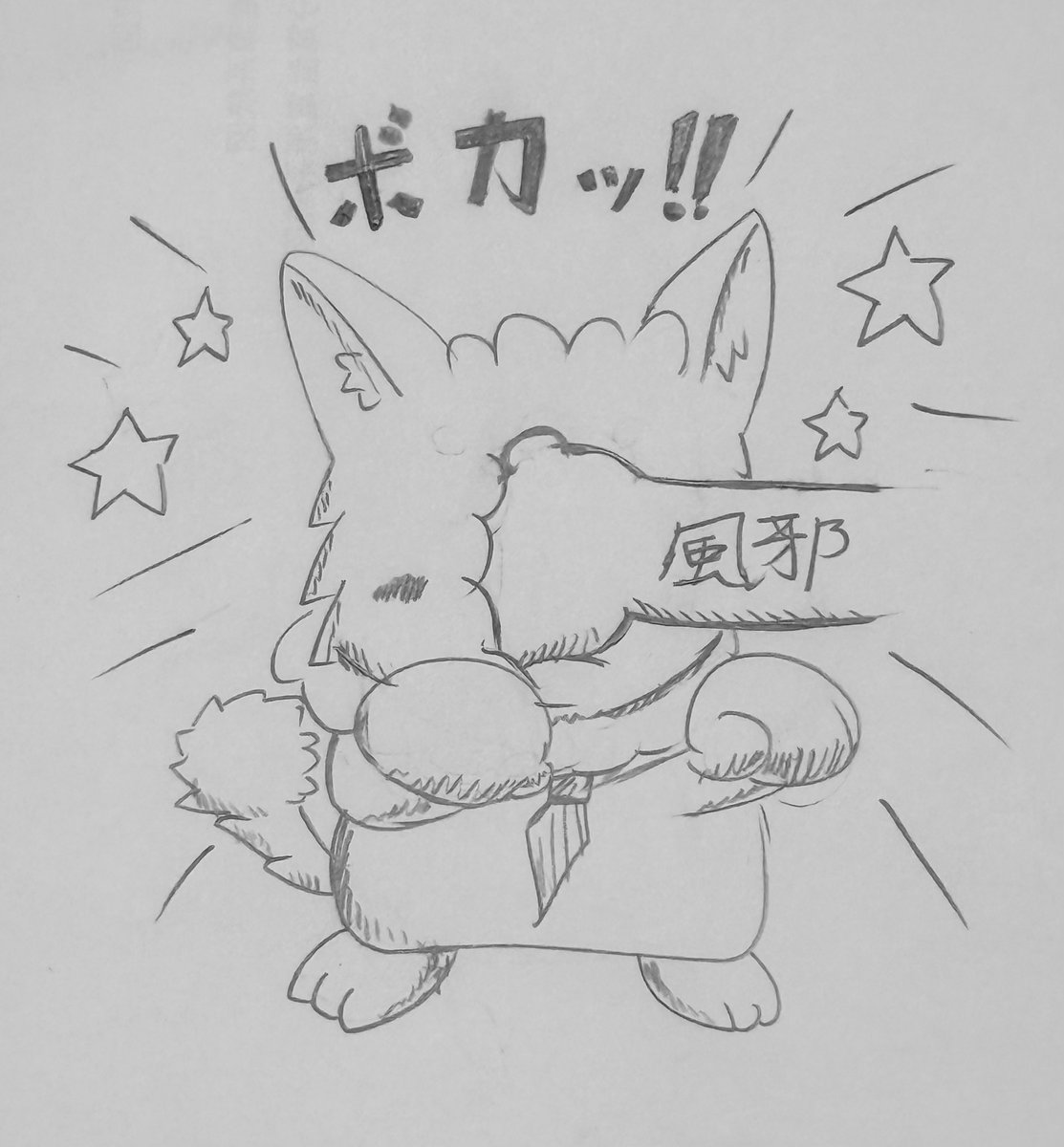 今回の相手は手強い！！