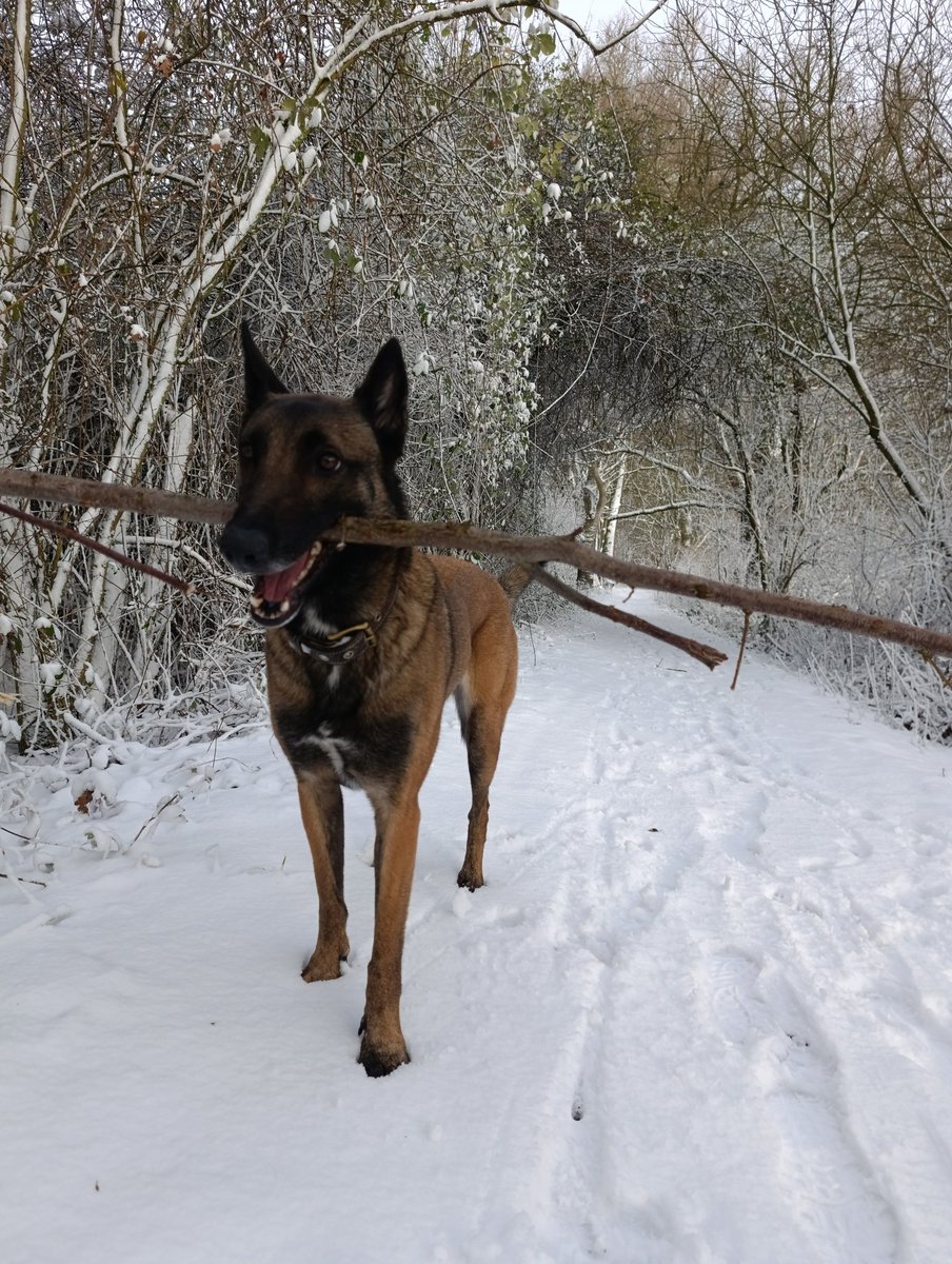 Prof de dates 🌻 tweet media