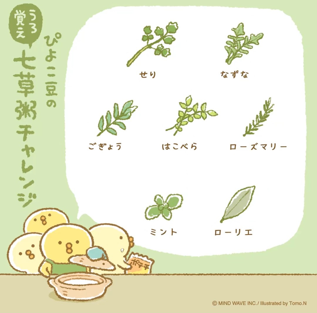 たこちゃん🐙おくと🦦🎩🕶 (@taccoxxx) / Posts / X