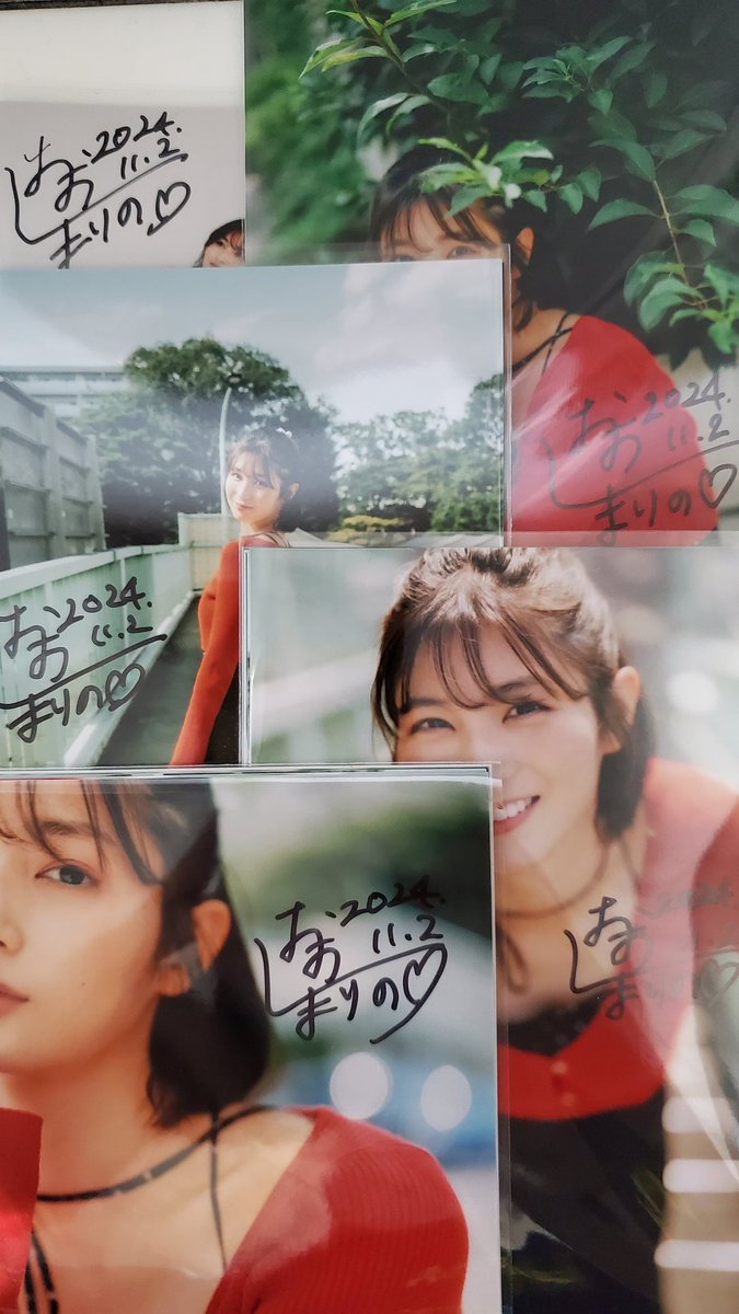 パンフレット←これはあって然るべき。それにしても安すぎる