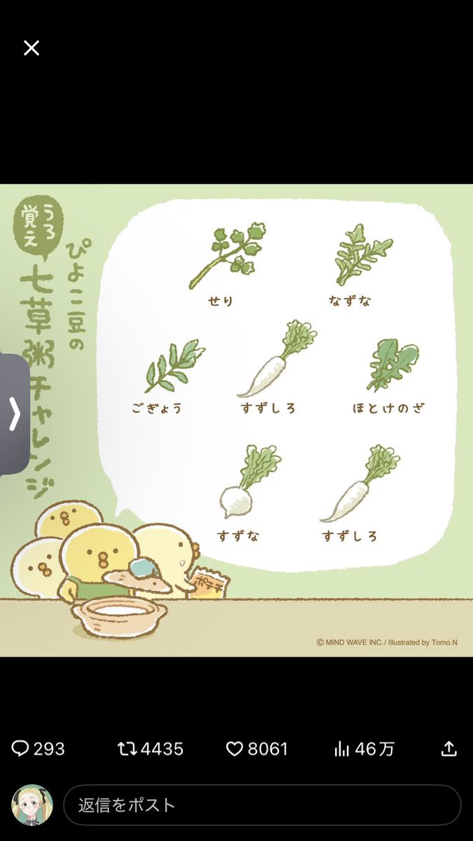 もちこ@壁打ち (@hinokinoka) / Posts / X