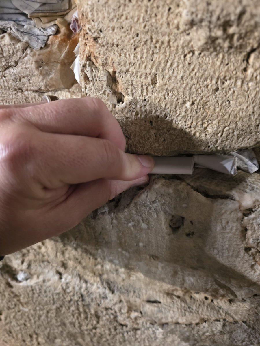 Ariel Fernandez tweet media